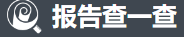 报告查一查-收费