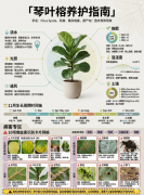 沐阳AI提示词盆栽